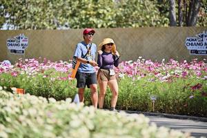 BIB: 
                            <button type="button" onclick="openModal(27803939)" class="btn btn-primary btn-sm float-right btn-popup" data-toggle="modal" data-target=".modal-high-quality">
                        <i class="fas fa-shopping-cart"></i> Add to Cart
                    </button>
                                            <button type="button" onclick="isThisMe(27803939, true)" class="btn btn-success btn-sm float-right btn-popup btn-isme hidden" data-toggle="tooltip" data-placement="bottom" title="นี่คือรูปของคุณใช่ไหม คลิกที่นี่เพื่อเอาเข้าอัลบั้ม">
                        <i class="fas fa-plus"></i> Add to album
                    </button>
                    <button type="button" onclick="isThisMe(27803939, false)" class="btn btn-warning btn-sm float-right btn-popup btn-isnotme hidden">
                        <i class="fas fa-ban"></i> Remove from album
                    </button>